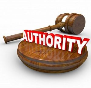 authority-site-competitors