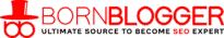 bornbloggerlogo