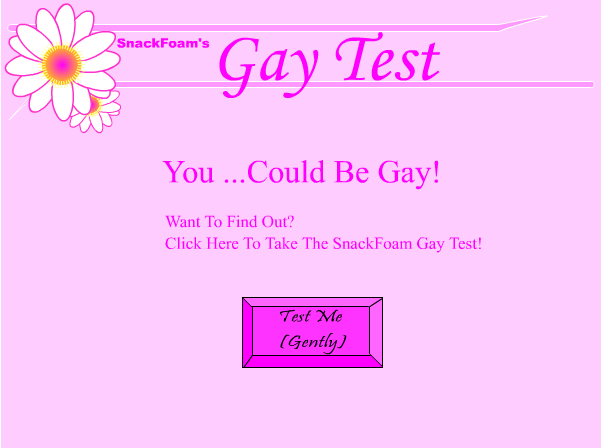  Test Gay